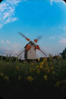 Netherlands